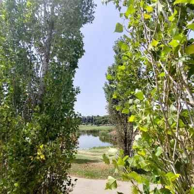 Img 20260724 133134 2 | LA ROCA GOLF RESORT, S.L.